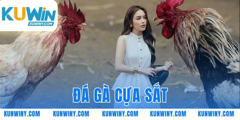 đá gà cựa sắt