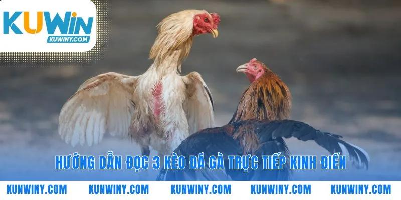 Lựa chọn chiến lược qua ngôn ngữ của bảng kèo cược